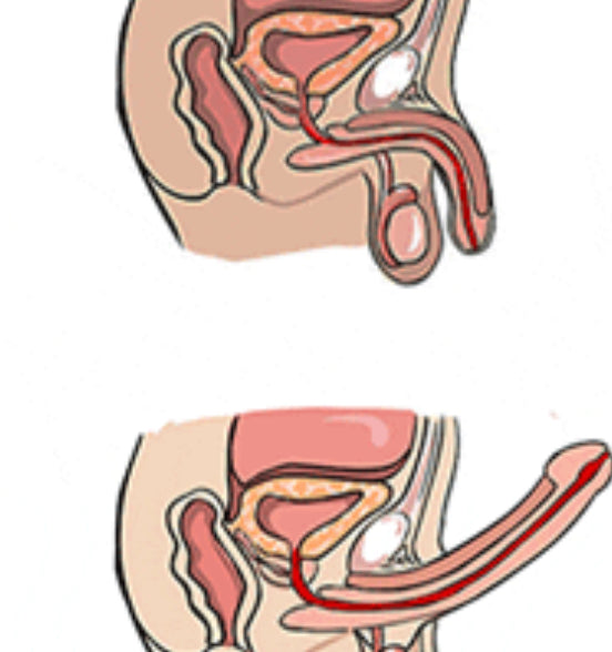 "The Peace" African Herbal Supplement - 16 servings